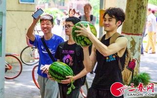 吃瓜学校全集免费看,揭秘校园风云,免费畅享青春喜剧盛宴